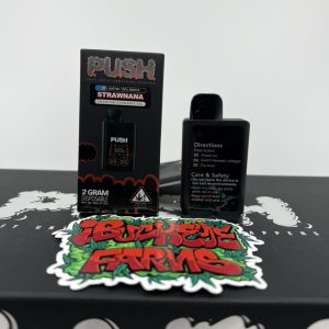 push 2g disposable with screen push 2g with screen push disposable with screen push pens push disposable push pen push dispo puff until something happens push carts thc push disposables push thc carts push 2g push disposable 2 gram new push 2g disposable with screen